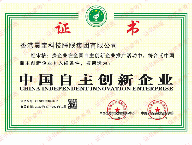 中国自主创新企业
