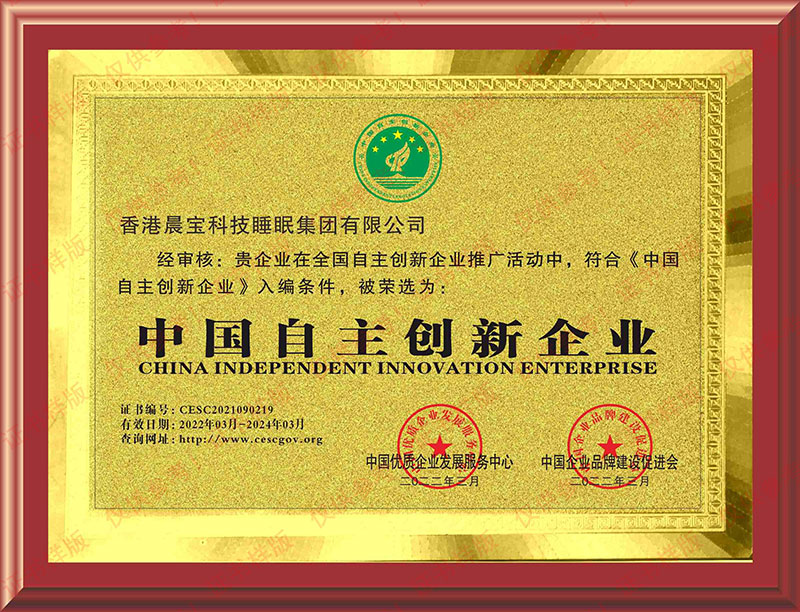 中国自主创新企业